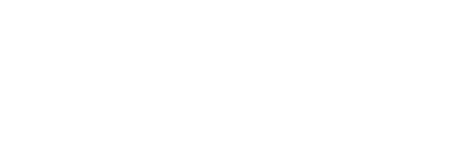 Mr Whip